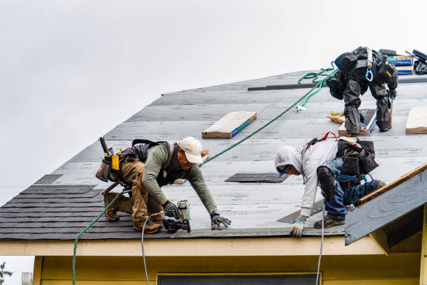 Professional Roofing technician working in Warren, IL